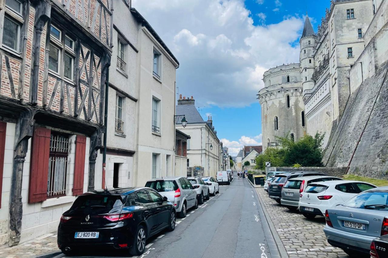 Splendid Apartment At The Foot Of The Castle Of Amboise - View Of The Loir Εξωτερικό φωτογραφία